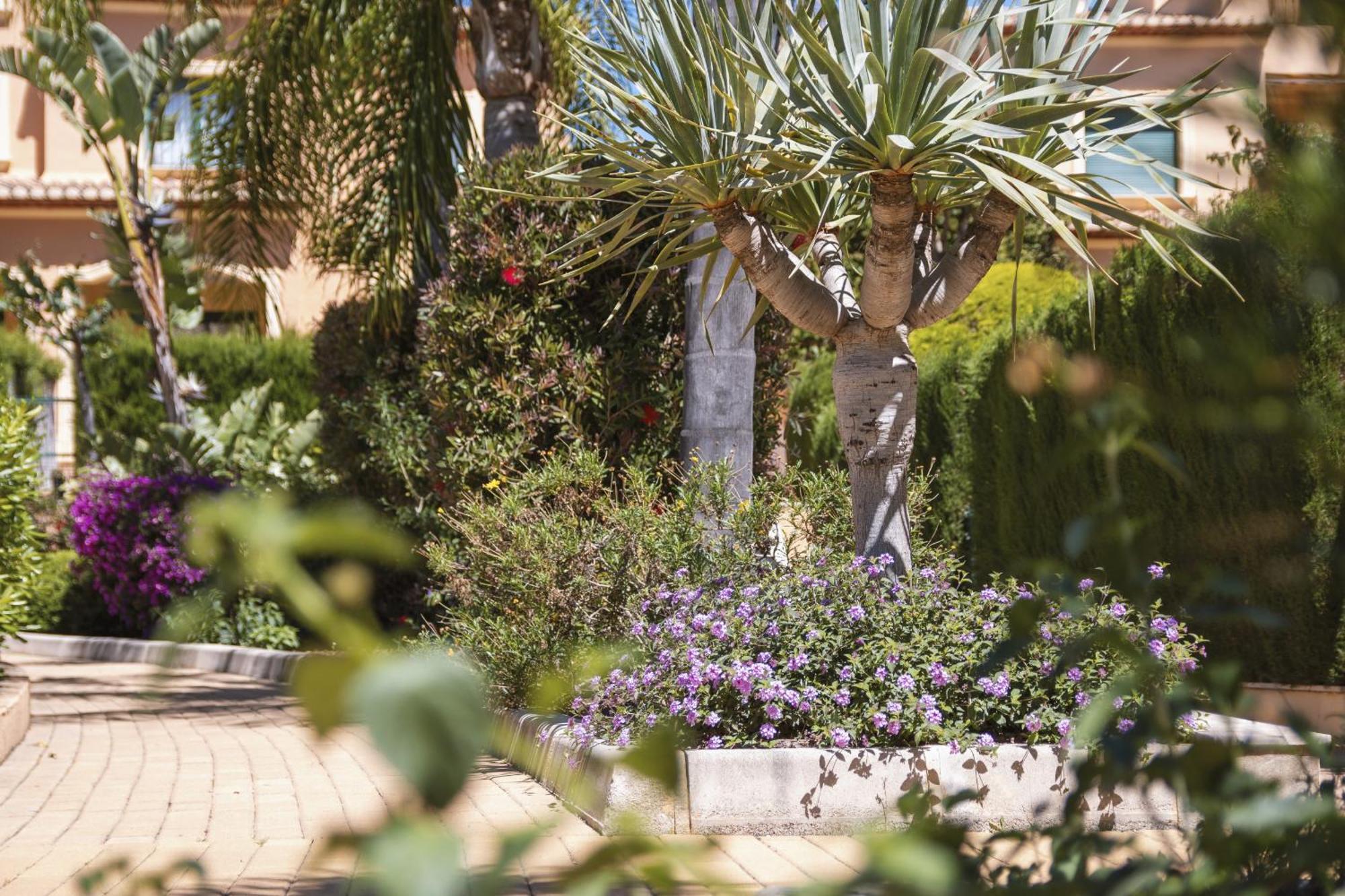 Apartament Floridamar Mimosa Jávea